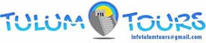 Tulum Tours Logo