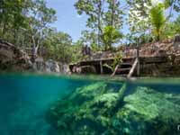 Excursion de cenotes en Tulum