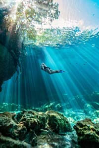 Akumal tortuga respirando